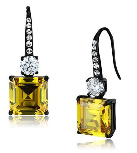Women Stainless Steel Cubic Zirconia Earrings